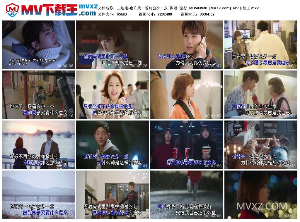 王旭刚-也许哭一场痛会少一点_国语_流行_MB503930